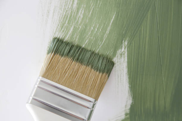 Best Mold Remediation for Healthcare Facilities  in El Jon, CA