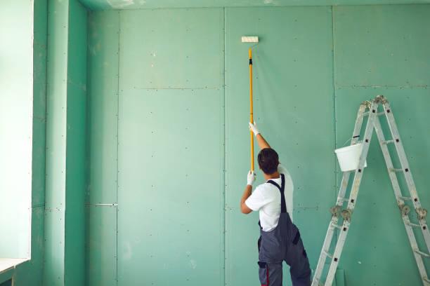 Best Forensic Mold Investigation  in El Jon, CA