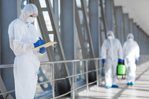 El Cajon, CA Mold Removal Company