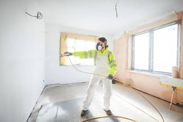 Best Basement Mold Removal  in El Jon, CA