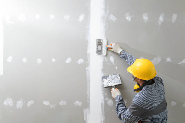 Best Mold-Related Health Consultation  in El Jon, CA