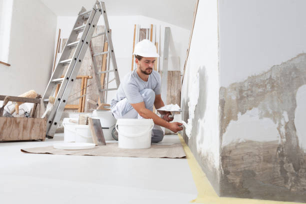 Best Biohazard Mold Removal  in El Jon, CA
