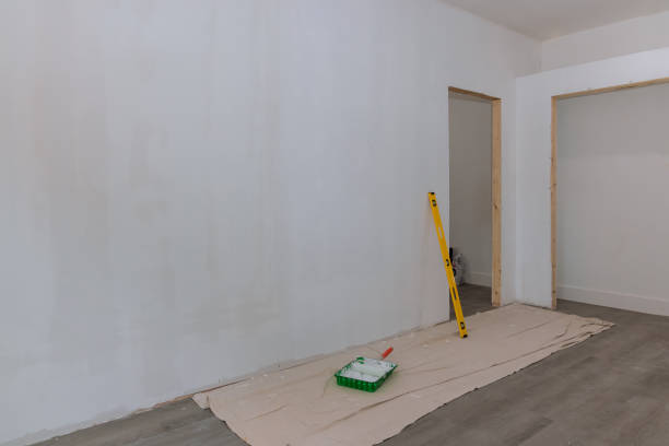 Best Industrial Mold Remediation  in El Jon, CA
