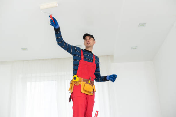 Best Post-Construction Mold Inspection  in El Jon, CA