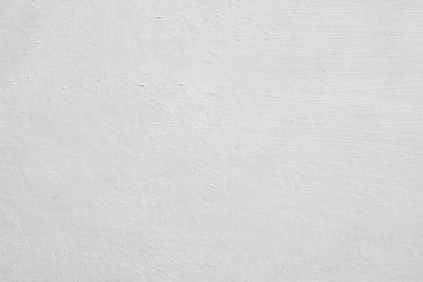 Best Attic Mold Removal  in El Jon, CA