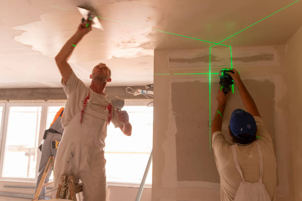  El Jon, CA Mold Removal Pros