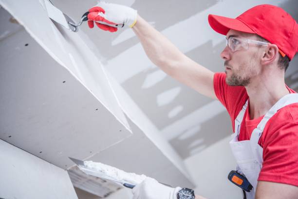 Best Commercial Mold Inspection  in El Jon, CA